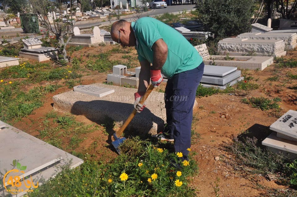 tasohamlalanjna (20).jpg